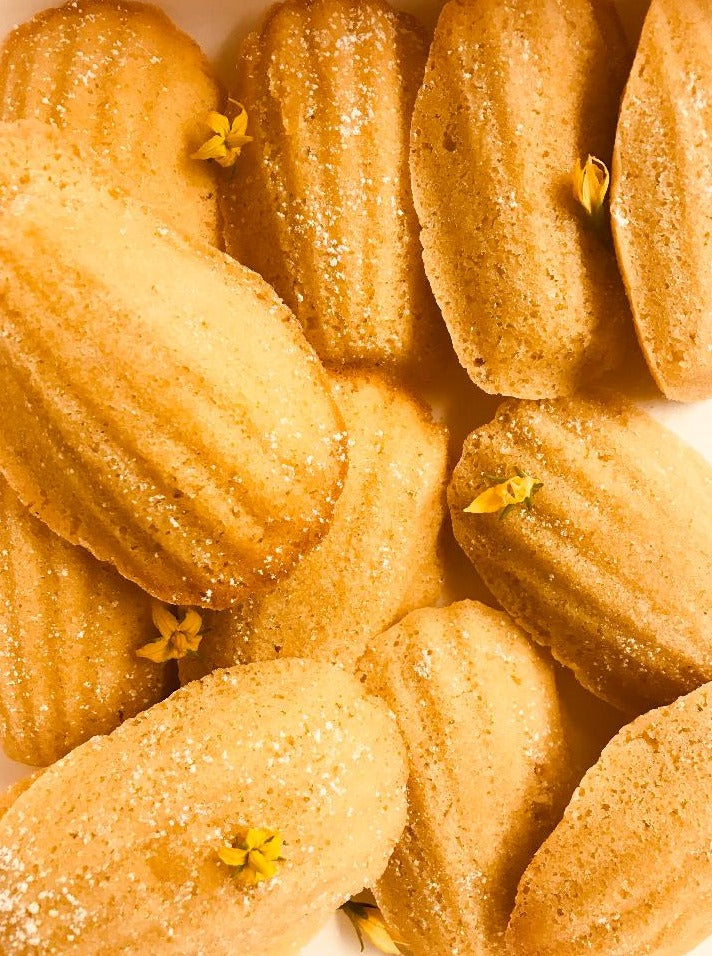 Classic Vanilla Madeleine Butter Cookies